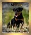 American Hunt Terrier Club Association Logo