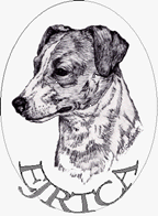 The English Jack Russell Terrier Club Alliance, Inc Logo