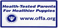 Orthopedic Foundation for Animals graphic with the words Health-Tested Parents For Healthier Puppies