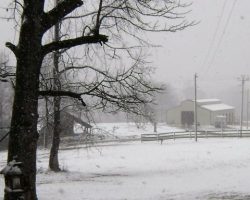 looking at snow on barn at russellville jacks