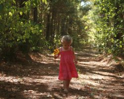 breanna in woods at russellville jacks russells